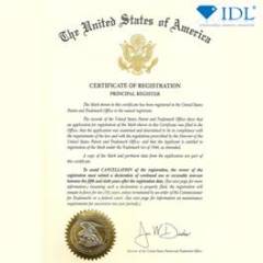 GZT044 PIRLANTA TEKTAŞ